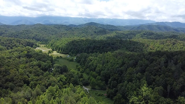 3406 Bogard Rd, Cosby, TN 37722
