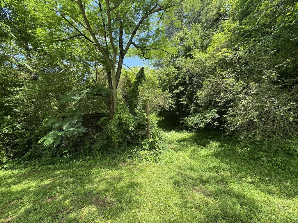3406 Bogard Rd, Cosby, TN 37722