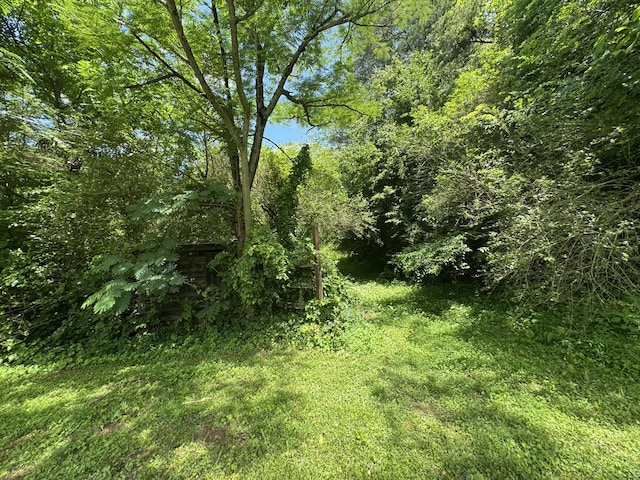 3406 Bogard Rd, Cosby, TN 37722