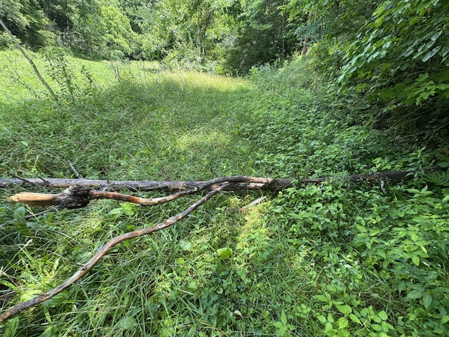 3406 Bogard Rd, Cosby, TN 37722