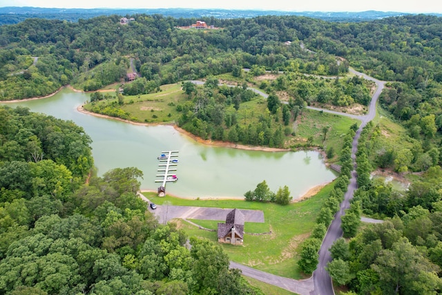LOT65 Stone Bridge Dr, Dandridge, TN 37725