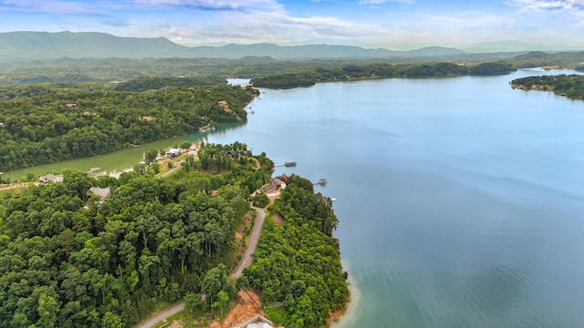 LOT65 Stone Bridge Dr, Dandridge, TN 37725
