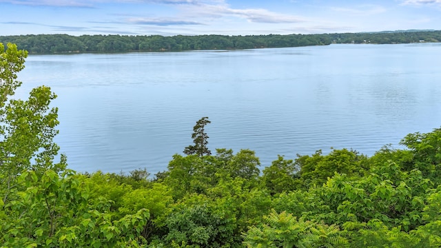 LOT65 Stone Bridge Dr, Dandridge, TN 37725