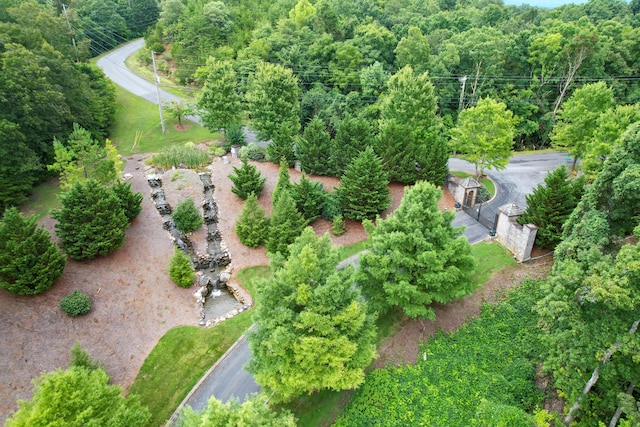 LOT65 Stone Bridge Dr, Dandridge, TN 37725