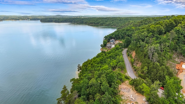 LOT65 Stone Bridge Dr, Dandridge, TN 37725