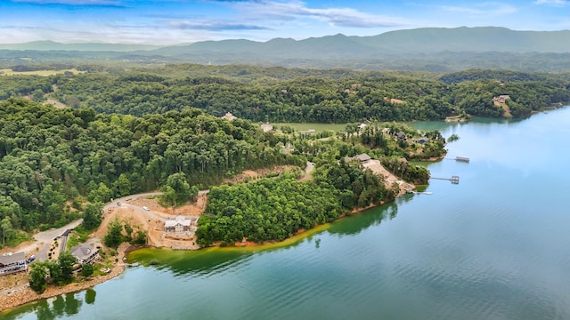 LOT65 Stone Bridge Dr, Dandridge, TN 37725