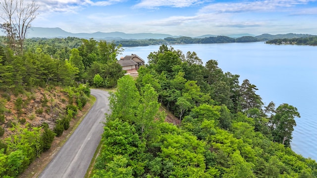 LOT65 Stone Bridge Dr, Dandridge, TN 37725