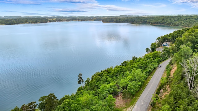 LOT65 Stone Bridge Dr, Dandridge, TN 37725