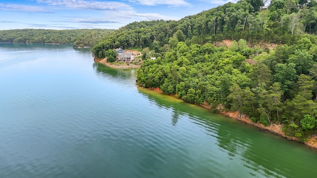 LOT65 Stone Bridge Dr, Dandridge, TN 37725