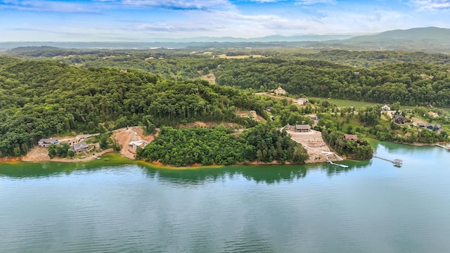 LOT65 Stone Bridge Dr, Dandridge, TN 37725