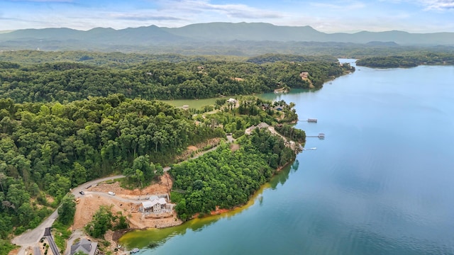 LOT65 Stone Bridge Dr, Dandridge, TN 37725
