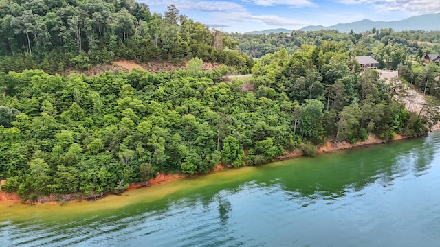 LOT65 Stone Bridge Dr, Dandridge, TN 37725