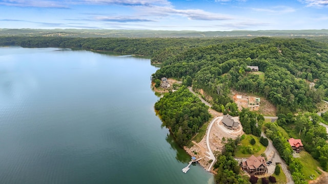 LOT65 Stone Bridge Dr, Dandridge, TN 37725