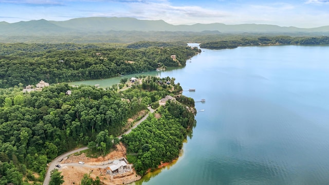 LOT65 Stone Bridge Dr, Dandridge, TN 37725