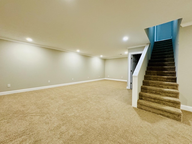 basement featuring carpet flooring and crown molding