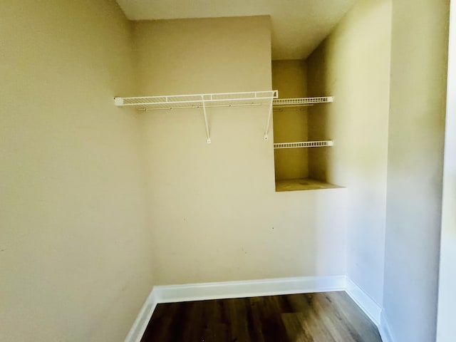 spacious closet featuring hardwood / wood-style floors