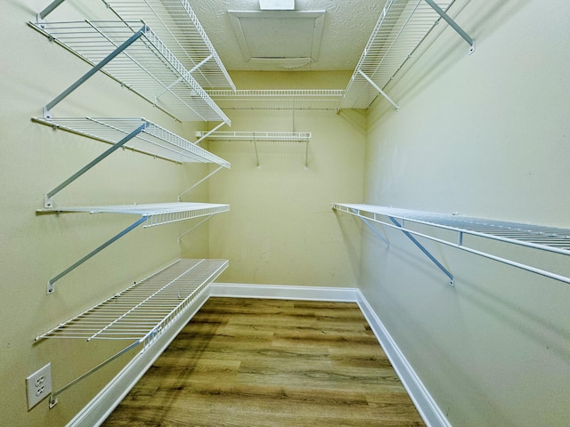 walk in closet with wood-type flooring