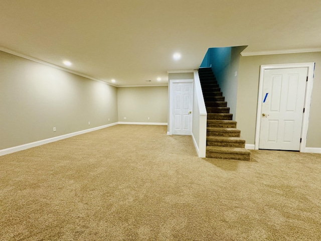 basement with carpet flooring and crown molding