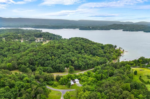 1370 Flat Woods Rd, Dandridge, TN 37725 - aerial view of a water and mountain view