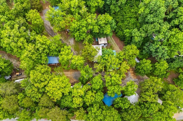 1370 Flat Woods Rd, Dandridge, TN 37725 - drone / aerial view