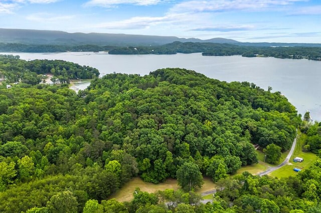 1370 Flat Woods Rd, Dandridge, TN 37725 - drone / aerial view of a water and mountain view