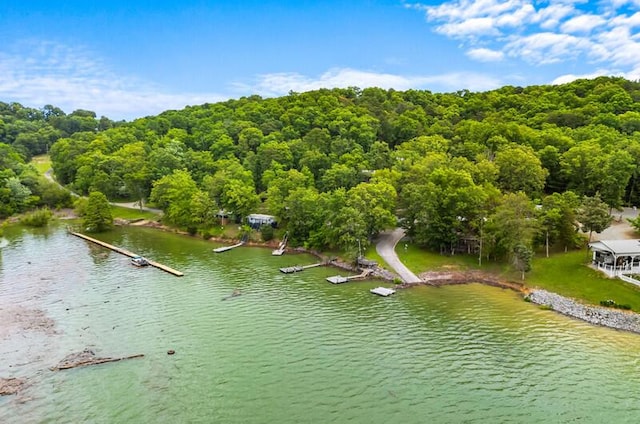 1370 Flat Woods Rd, Dandridge, TN 37725 - drone / aerial view of a nearby body of water