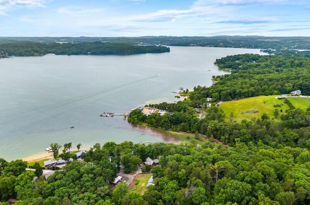 1370 Flat Woods Rd, Dandridge, TN 37725 - bird's eye view of a large body of water