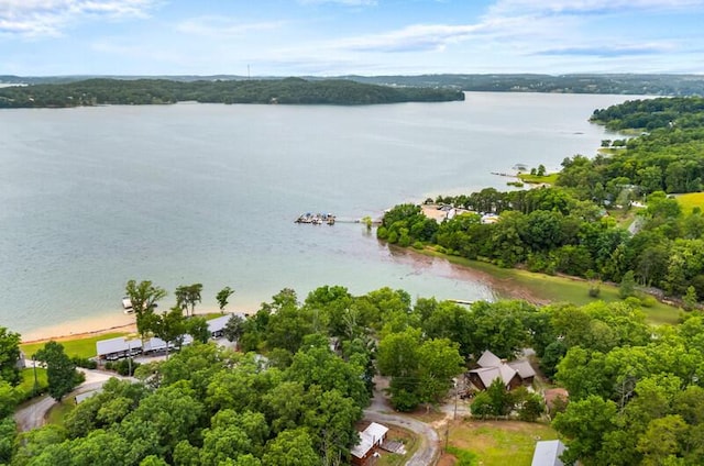 1370 Flat Woods Rd, Dandridge, TN 37725 - bird's eye view of a large body of water