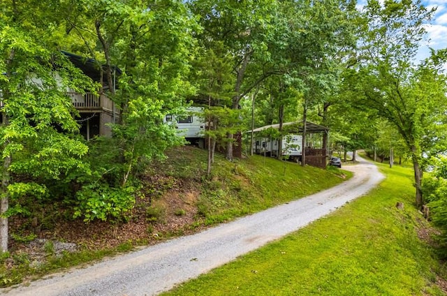 1370 Flat Woods Rd, Dandridge, TN 37725 - view of dirt / gravel driveway