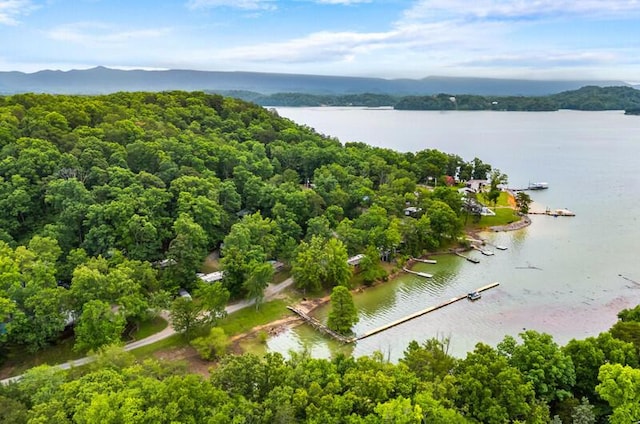 1370 Flat Woods Rd, Dandridge, TN 37725 - aerial view of a water and mountain view