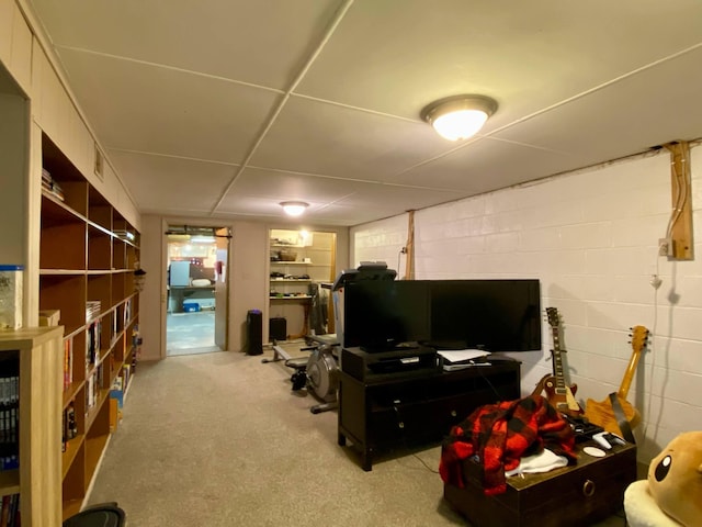 1578 Golf Course Rd, Newport, TN 37821 - carpeted living area with concrete block wall