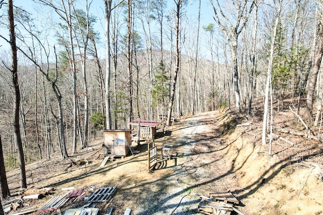 2087 Fodderstack Mountain Loop, Greeneville, TN 37745 - photo 38