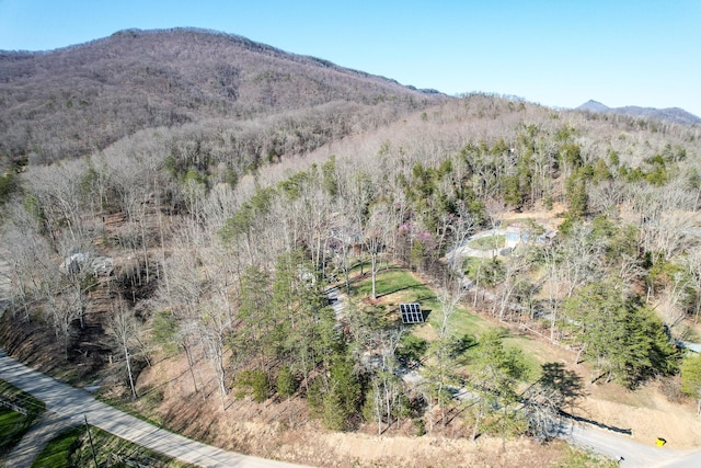 2087 Fodderstack Mountain Loop, Greeneville, TN 37745 - photo 75
