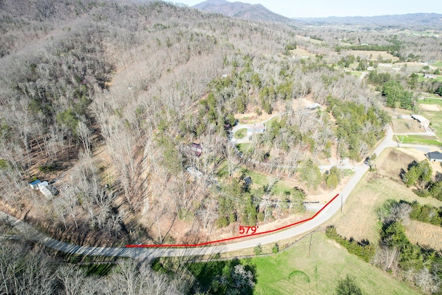 2087 Fodderstack Mountain Loop, Greeneville, TN 37745 - photo 76