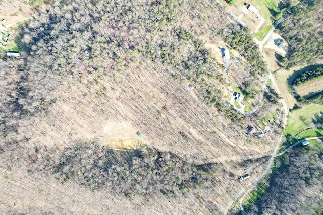 2087 Fodderstack Mountain Loop, Greeneville, TN 37745 - photo 69