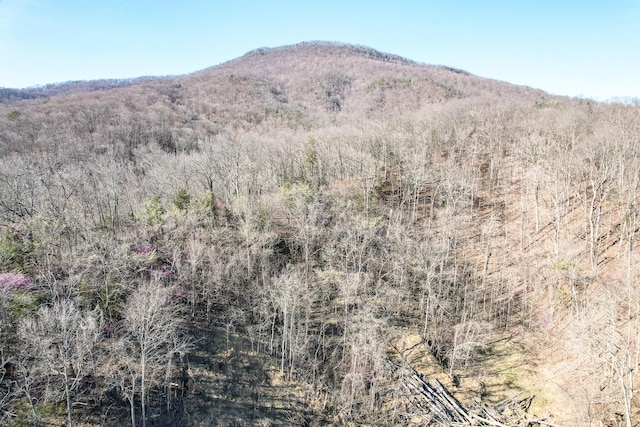 2087 Fodderstack Mountain Loop, Greeneville, TN 37745 - photo 71