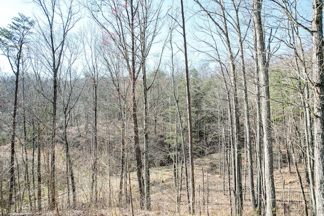 2087 Fodderstack Mountain Loop, Greeneville, TN 37745 - photo 45