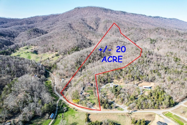 2087 Fodderstack Mountain Loop, Greeneville, TN 37745 - photo 68