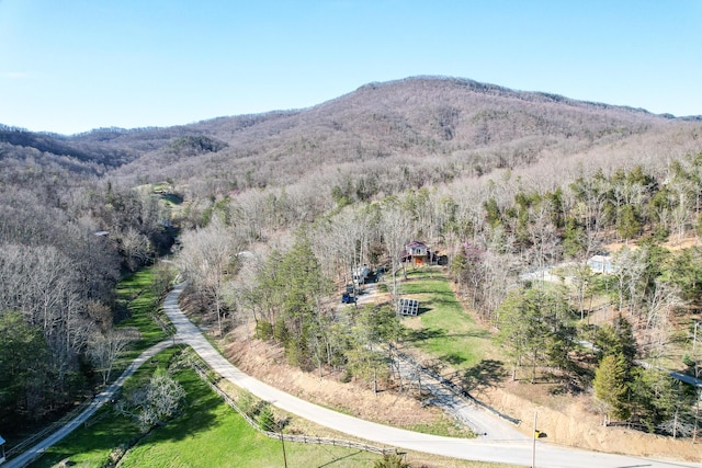 2087 Fodderstack Mountain Loop, Greeneville, TN 37745 - photo 74