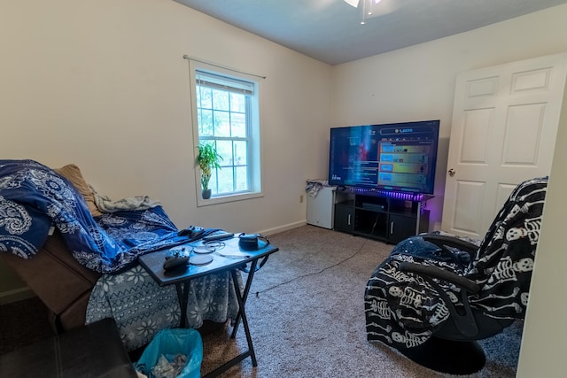 living room featuring carpet