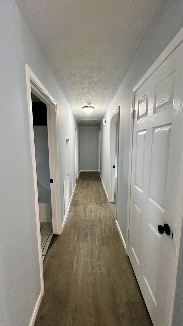 7037 Maxwell Ter, Talbott, TN 37877 - photo 31