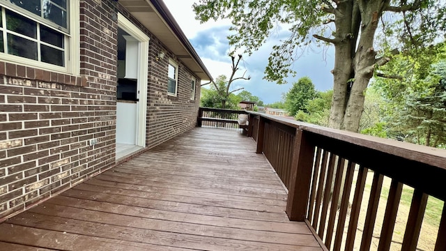 7037 Maxwell Ter, Talbott, TN 37877 - photo 36