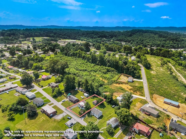 1210 Carmichael St, Morristown, TN 37814 - photo 22