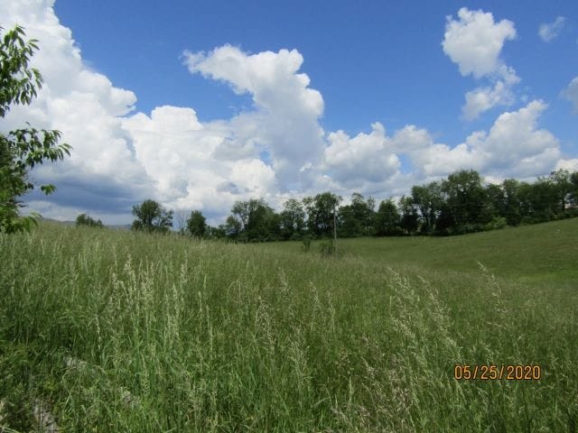 LOT9 Iris Dr, Harrogate, TN 37752