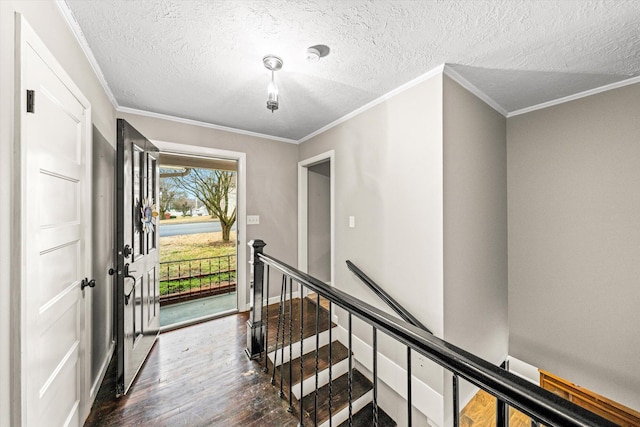 foyer entrance featuring crown molding, dark wood-type flooring, and a textured ceiling