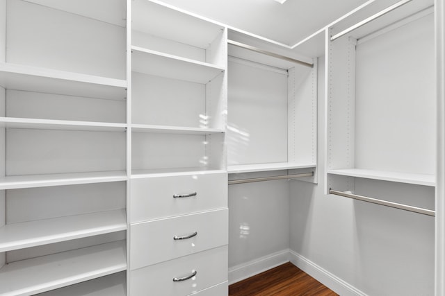 spacious closet with dark wood-type flooring