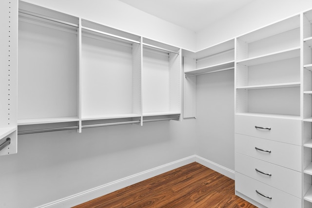 spacious closet with dark hardwood / wood-style flooring