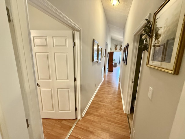 3500 Poor Valley Rd, Rutledge, TN 37861 - hallway featuring light wood-style floors and baseboards