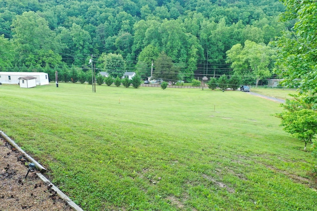 3500 Poor Valley Rd, Rutledge, TN 37861 - view of grassy yard