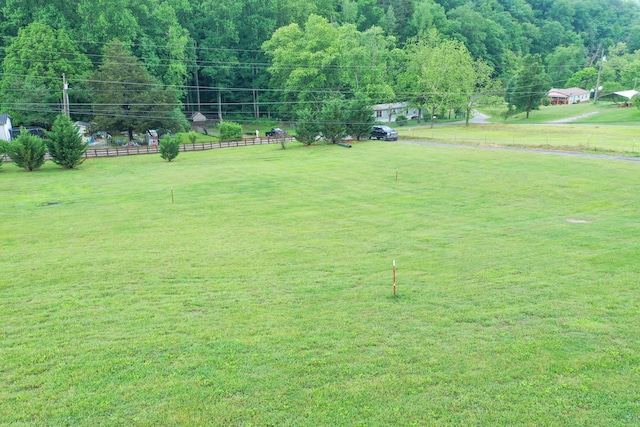 3500 Poor Valley Rd, Rutledge, TN 37861 - view of yard